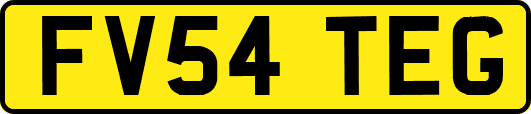 FV54TEG