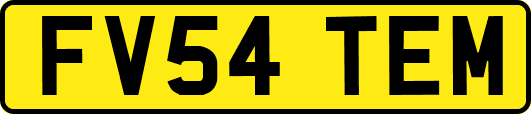 FV54TEM
