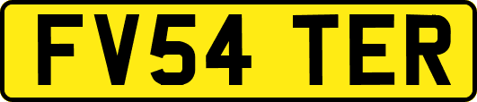 FV54TER
