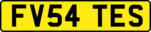 FV54TES