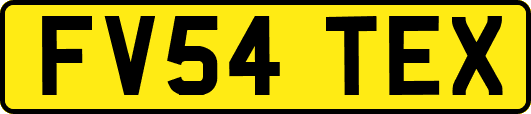FV54TEX