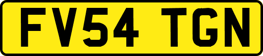 FV54TGN