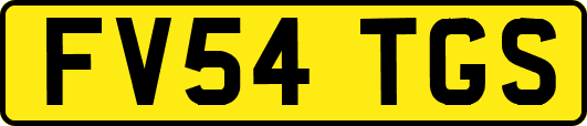 FV54TGS