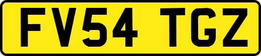 FV54TGZ