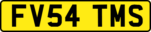 FV54TMS