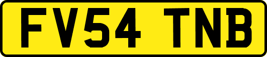 FV54TNB