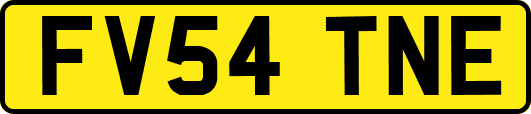 FV54TNE