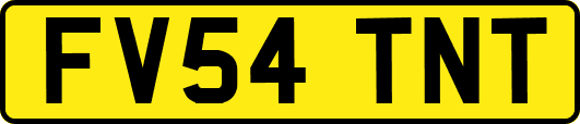 FV54TNT