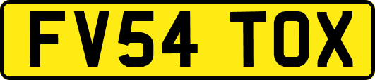 FV54TOX