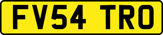 FV54TRO