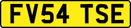 FV54TSE