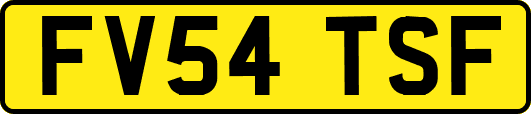 FV54TSF