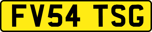 FV54TSG