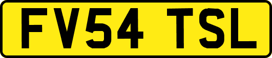 FV54TSL