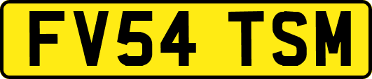 FV54TSM