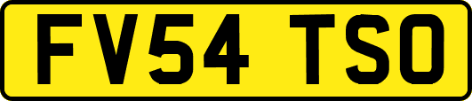 FV54TSO