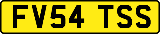FV54TSS