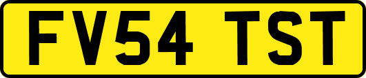 FV54TST