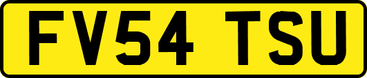 FV54TSU