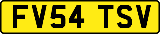 FV54TSV