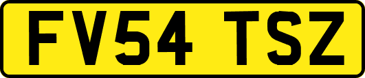 FV54TSZ