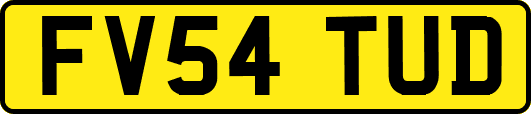FV54TUD