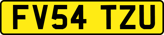 FV54TZU