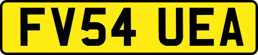 FV54UEA