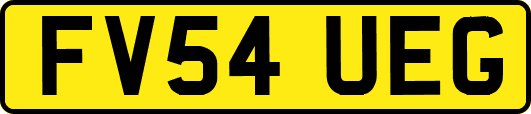 FV54UEG