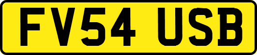 FV54USB
