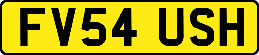 FV54USH