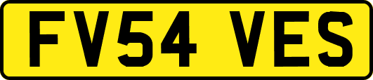FV54VES
