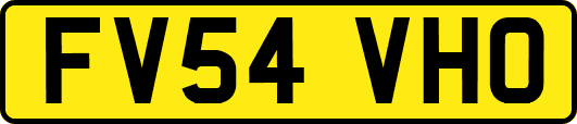 FV54VHO