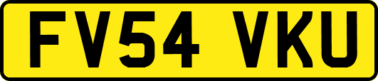 FV54VKU