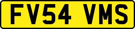 FV54VMS