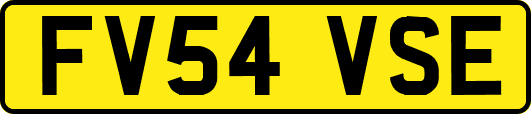 FV54VSE