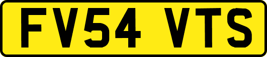 FV54VTS