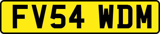 FV54WDM