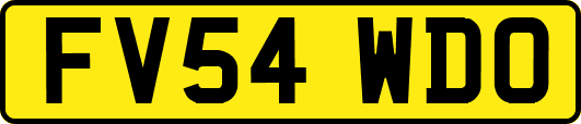 FV54WDO