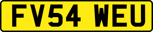 FV54WEU