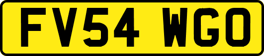 FV54WGO