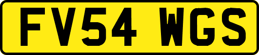 FV54WGS