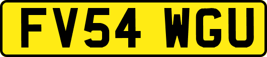 FV54WGU