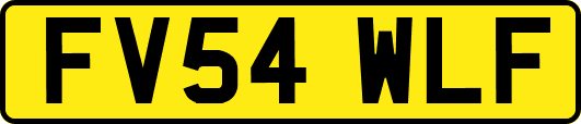 FV54WLF