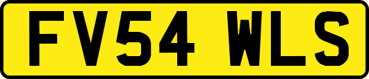 FV54WLS