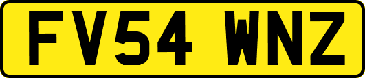 FV54WNZ