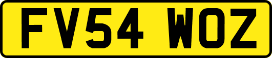 FV54WOZ
