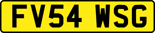 FV54WSG