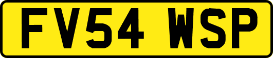 FV54WSP