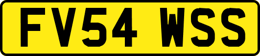 FV54WSS